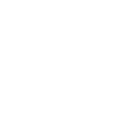 Budget Friendly Icon
