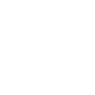 Experience Icon